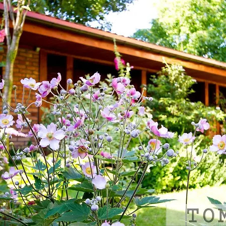 ホームステイ Tomar ウェバ